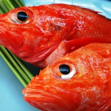 その他 煮魚・魚の煮つけ