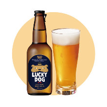 黄桜　LUCKY　DOG