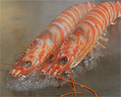 その他の魚料理