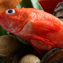 その他 煮魚・魚の煮つけ