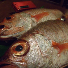 その他 煮魚・魚の煮つけ