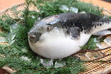 8,140円コース (7品) 8,140円コース (7品)