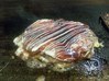豚平焼クラシック 豚平焼クラシック