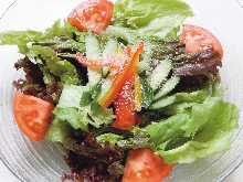野菜サラダ
