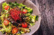 チョレギサラダ チョレギサラダ