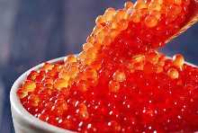 4,500円コース (8品)