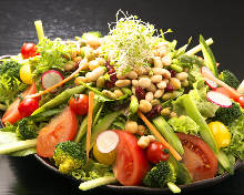 グリーンサラダ