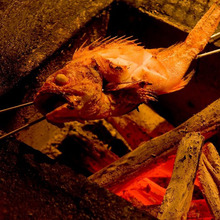 その他 焼き魚