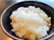 ごはん