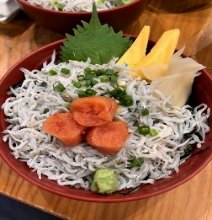 しらす丼