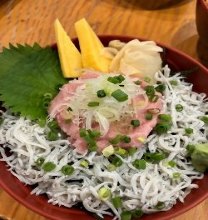 ネギトロ丼