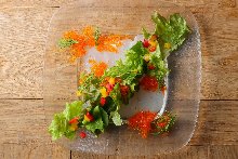 カルパッチョ(魚)