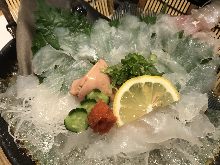 肝付カワハギ