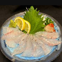 神経〆ヒラメ薄造り