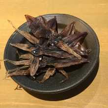 ホタルイカあぶり