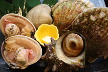 그 외 조개 요리, 해산물 요리