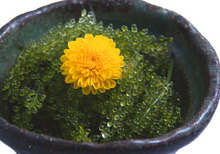 그 외 안주, 진미