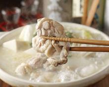 미즈타키 미즈타키