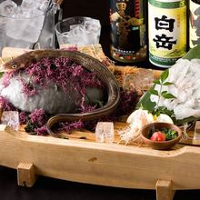 붕장어 활어회 붕장어 활어회