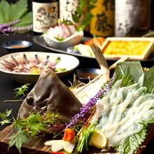 쥐치 활어회 쥐치 활어회