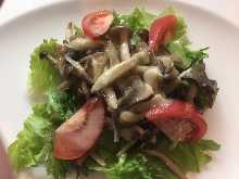 버섯 샐러드