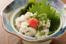 시라코(정소) 폰즈 시라코(정소) 폰즈