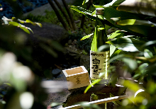 hakutaka isejingu sacred sake