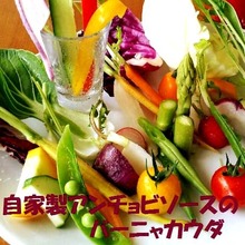 바냐 카우다