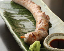살시치아
