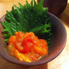 바쿠라이 바쿠라이