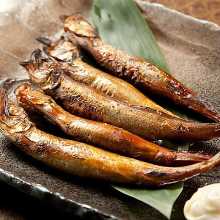 알이 꽉찬 시샤모(열빙어)