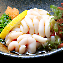 시라코(정소) 폰즈