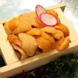 생 성게 회