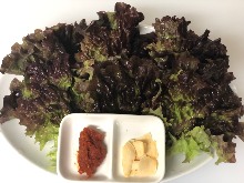 상추