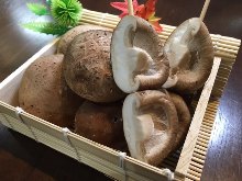꼬치 튀김