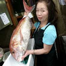 계절 추천 사시미