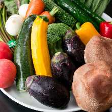  아침에 수확한 신선한 야채