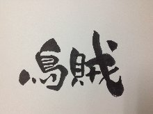 오징어 회 오징어 회