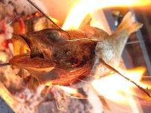 눈볼대 소금 구이