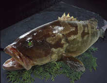 11,000 엔 코스 (8 가지) 11,000 엔 코스 (8 가지)