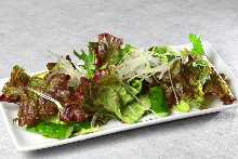 조래기 샐러드 조래기 샐러드