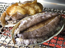 活烤鲍鱼
