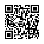 本网页连接的 QRCode