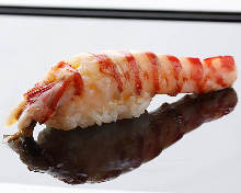 日本对虾