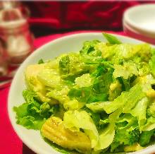 绿色蔬菜沙拉