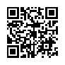 本网页连接的 QRCode