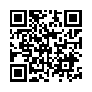 本网页连接的 QRCode