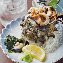 角蝾螺(生鱼片) 角蝾螺(生鱼片)