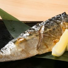 炙烤青花鱼