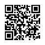 本网页连接的 QRCode